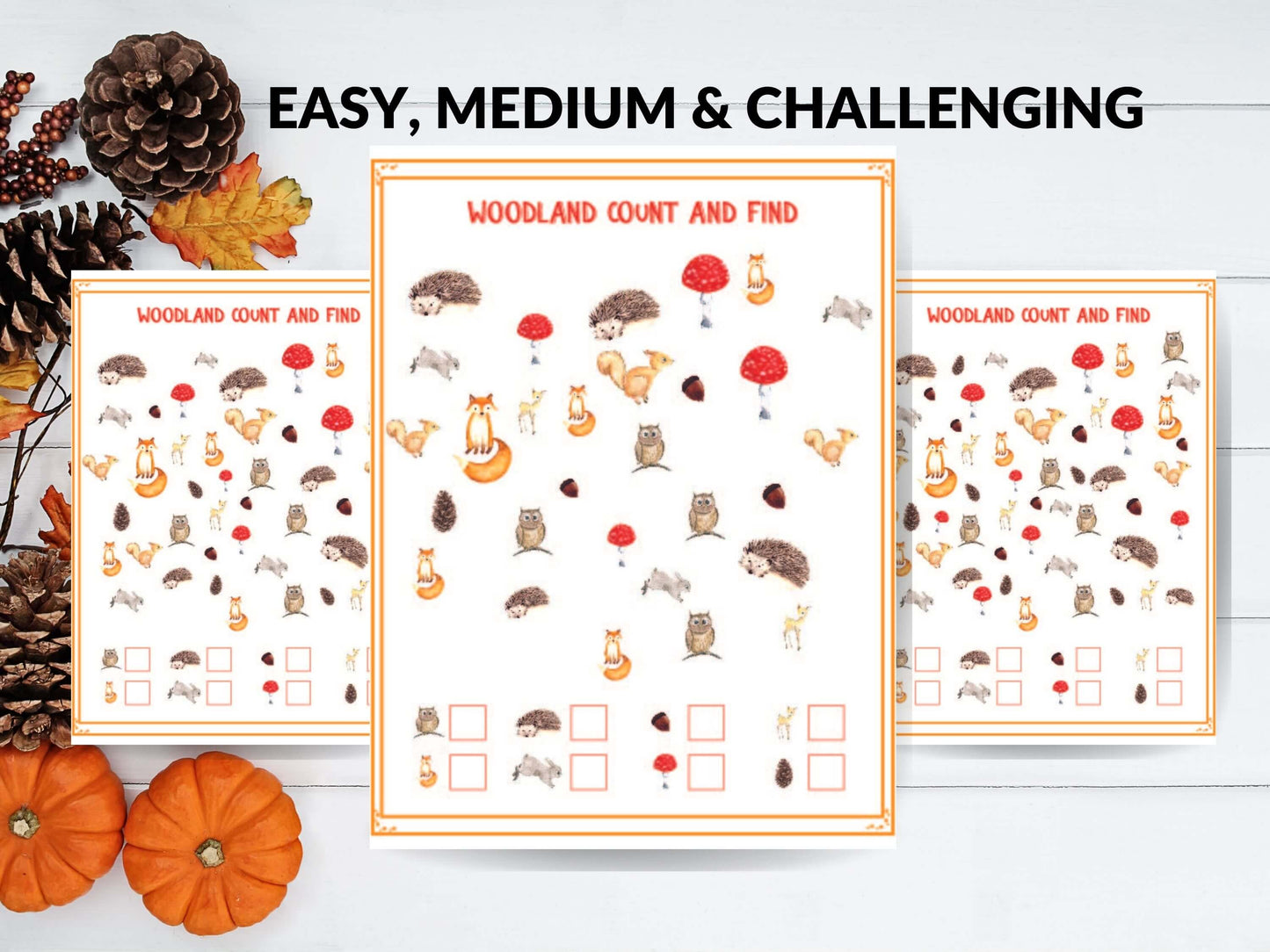 Woodland I Spy - Autumn Seek and Find - Kindergarten Education - Instant Download - Woodland Themed