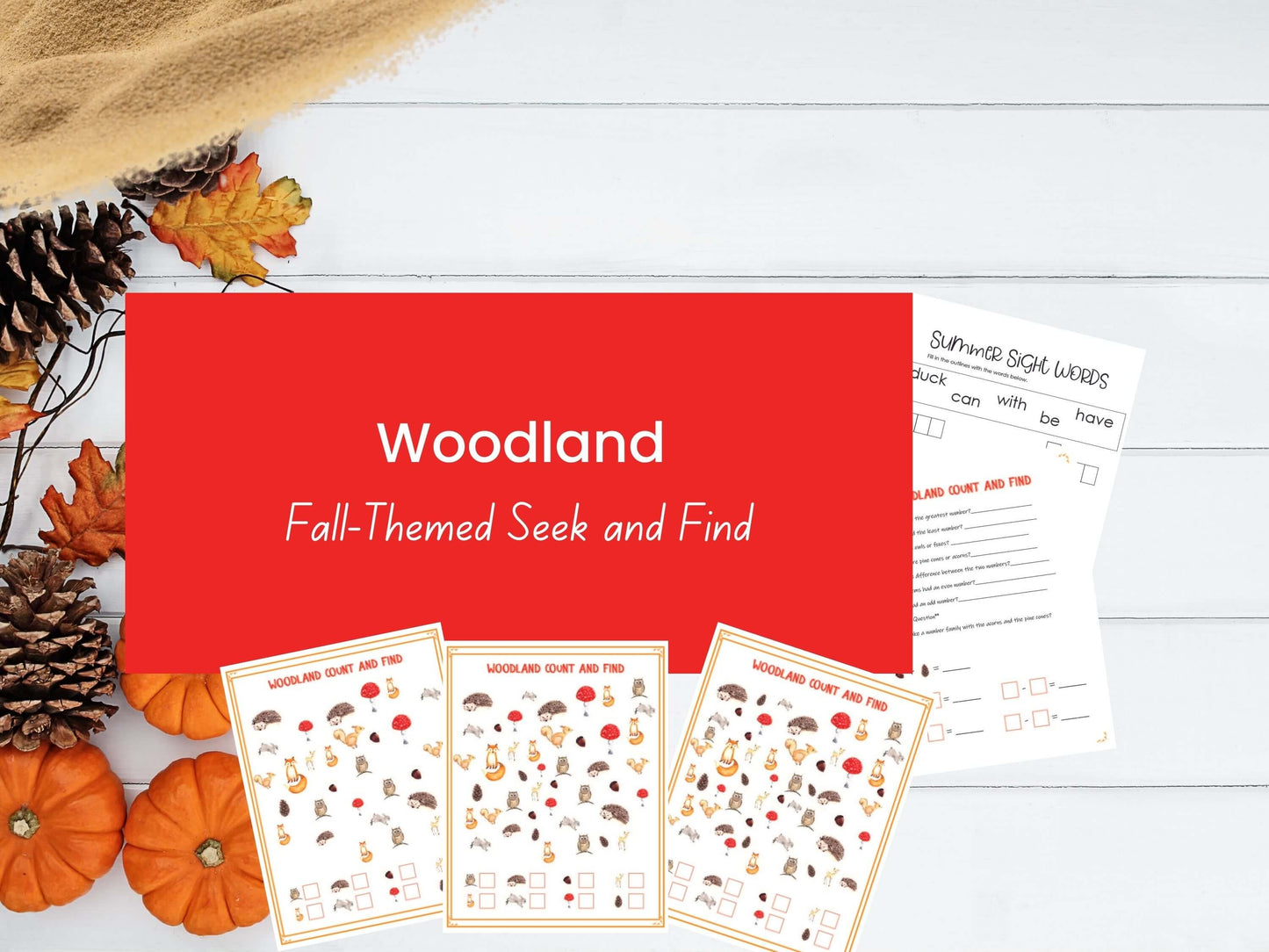 Woodland I Spy  - Autumn Seek and Find - Kindergarten Education - Instant Download - Woodland Themed