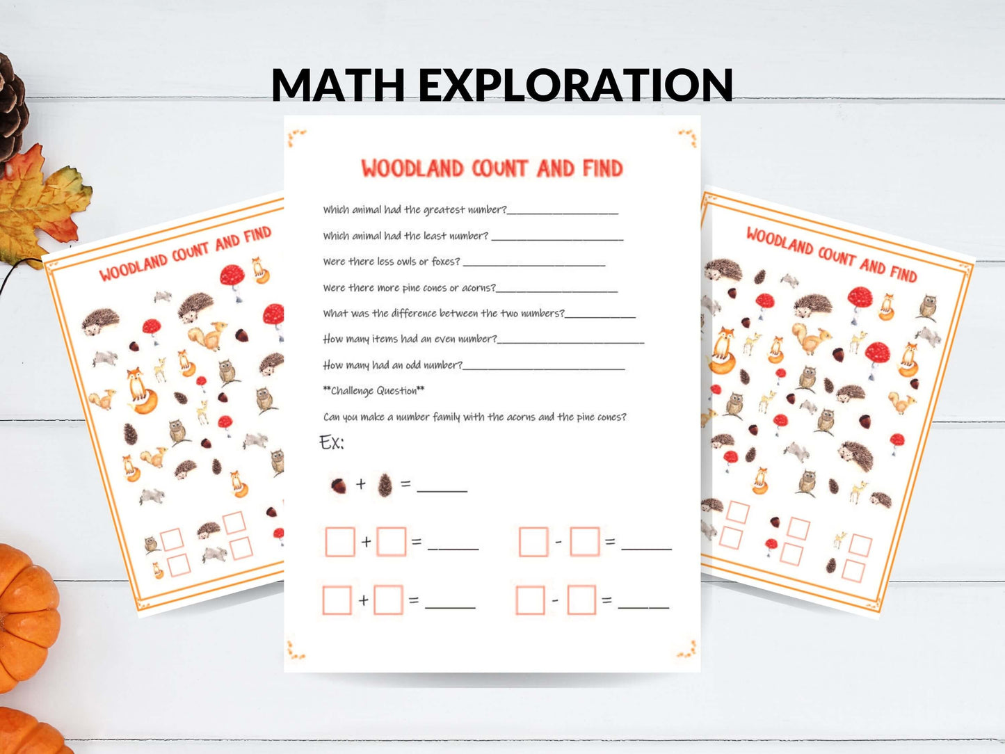 Woodland I Spy  - Autumn Seek and Find - Kindergarten Education - Instant Download - Woodland Themed