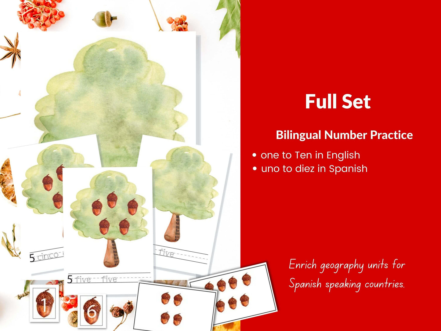 Spanish to English Bilingual Kindergarten and Pre-K Number Practice: Fall Theme