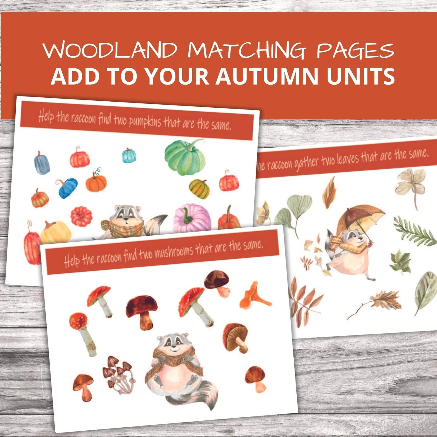 Woodland / Autumn Matching Pages