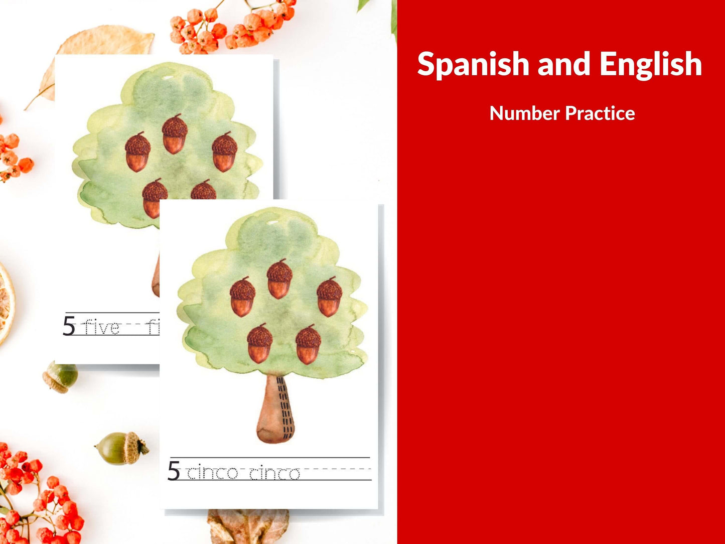 Spanish to English Bilingual Kindergarten and Pre-K Number Practice: Fall Theme