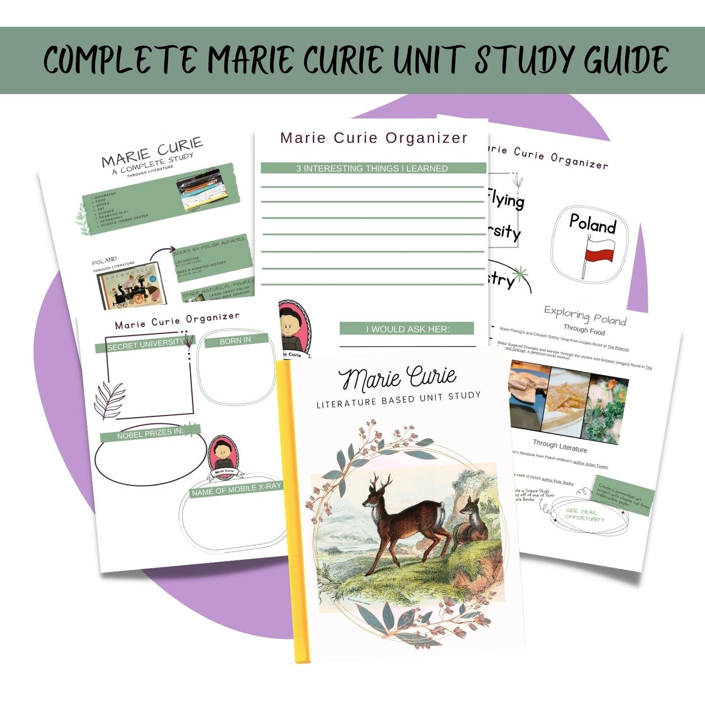 Marie Curie Unit Study