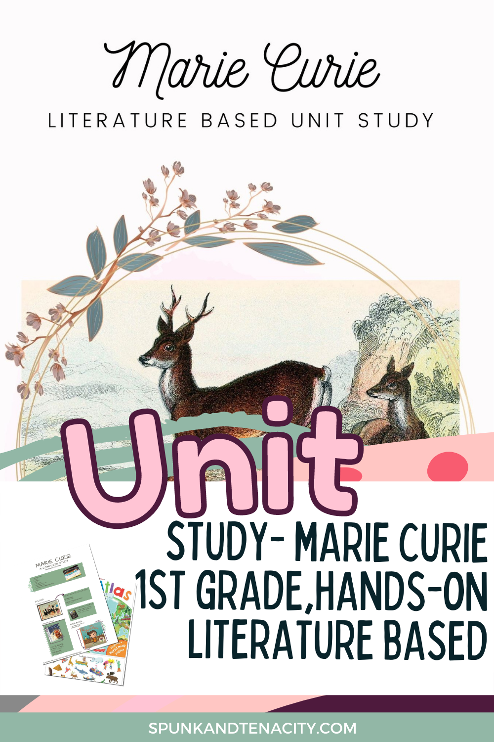 Marie Curie Literature Based Unit Study